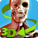 Easy Anatomy 3D(learn anatomy)