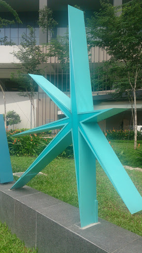 The South Star