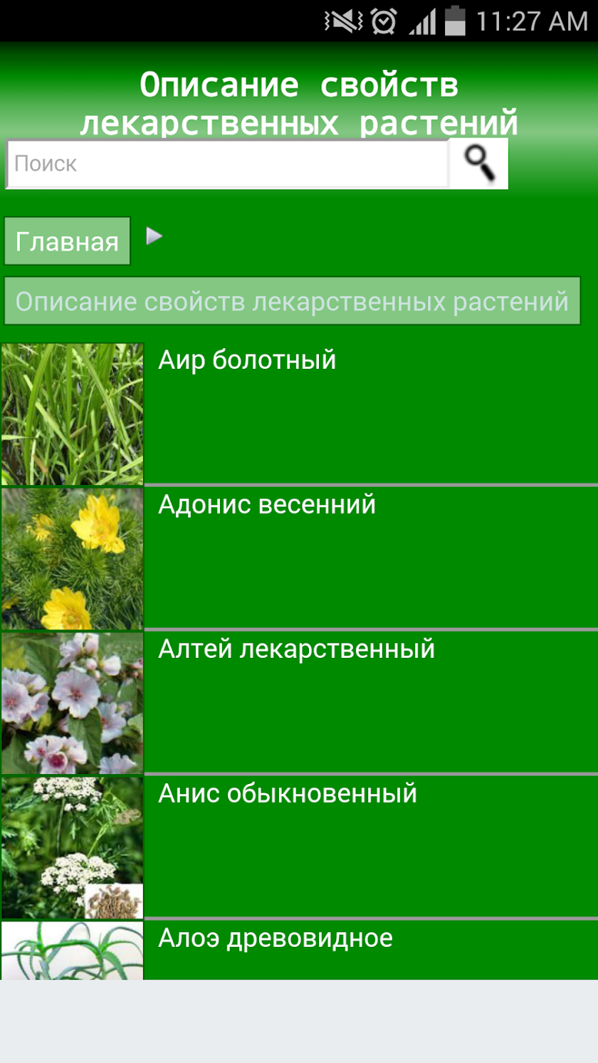 Лекарственные растения Screen 1
