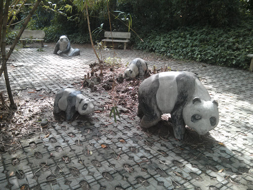 新湖公园·熊猫雕像