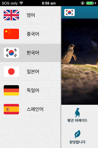 免費下載旅遊APP|Penguin Parade Phillip Island app開箱文|APP開箱王