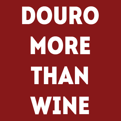 Douro More Than Wine LOGO-APP點子