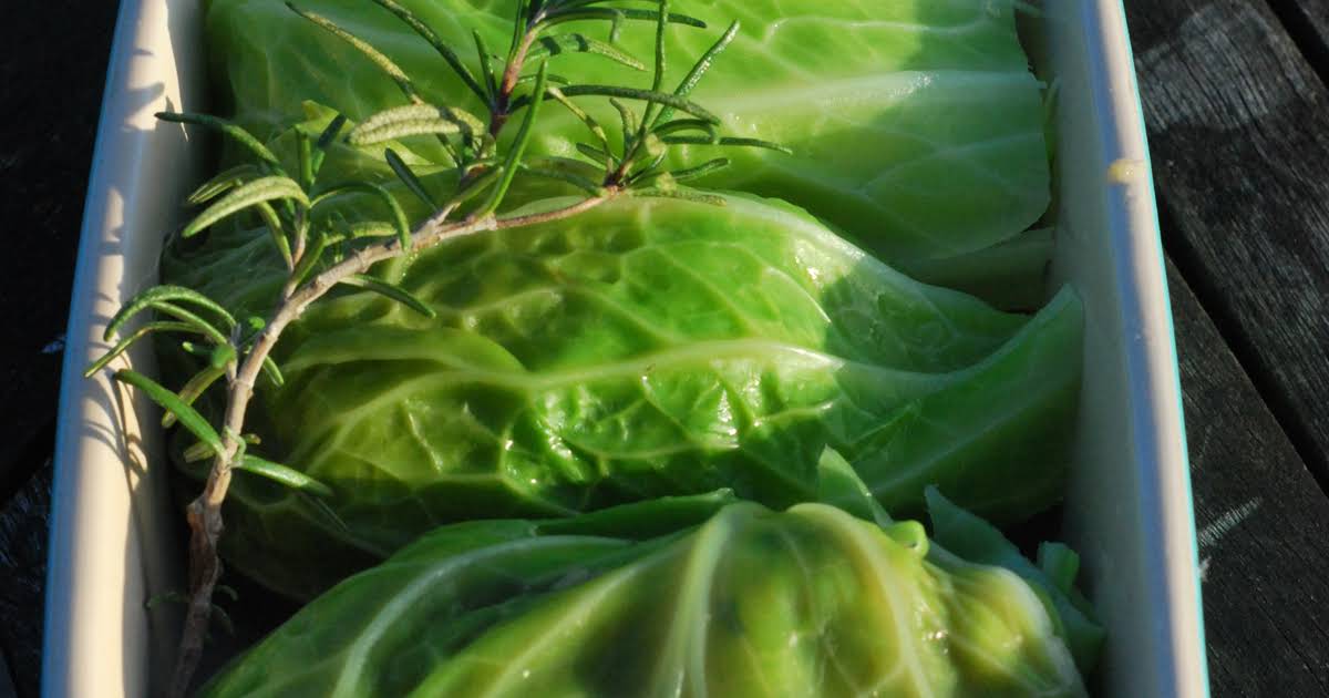 10 Best Rice Cabbage Rolls No Meat Recipes Yummly