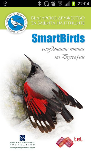 SmartBirds