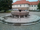 Fontana pred I. Gimnazijo