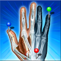 IMAIOS e-Anatomy logo