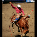 Rodeo illustrated logo