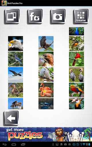 【免費解謎App】Bird Puzzles Pro-APP點子