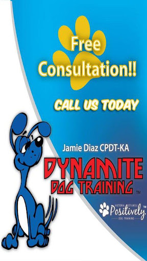 Dynamite Dog Training