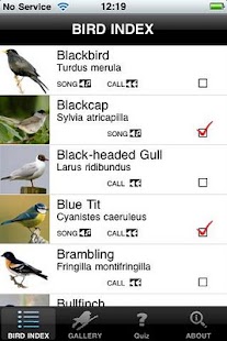 How to mod BirdsUK patch 8.0 apk for pc