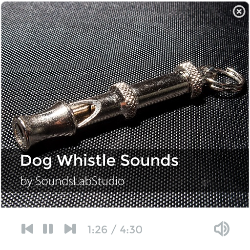 Dog Whistle Sounds