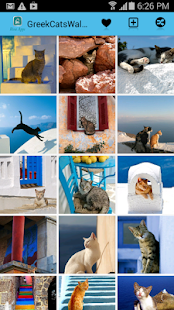 Free Greek Cats Pictures Wallpaper APK for Android
