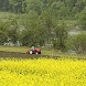 Seasons of Satoyama