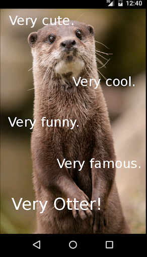 Cute Otter