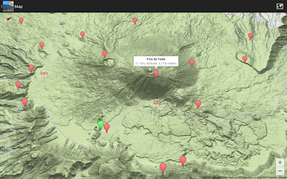 In Sight - The Canaries poster 21