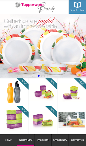 Tupperware Brands Singapore