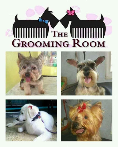 The Grooming Room