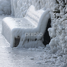 Bench by Michael Schwartz - City,  Street & Park City Parks