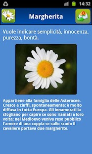How to install Blumy - Linguaggio dei fiori patch 1.8 apk for laptop