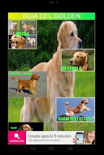 GOLDEN RETRIEVER Screenshots 2