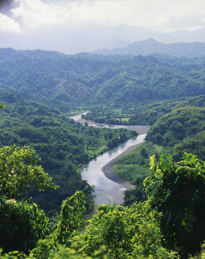 Blue-Mountains-Jamaica - The Blue Mountains, the longest mountain range in Jamaica, dominate the eastern third of the island. 