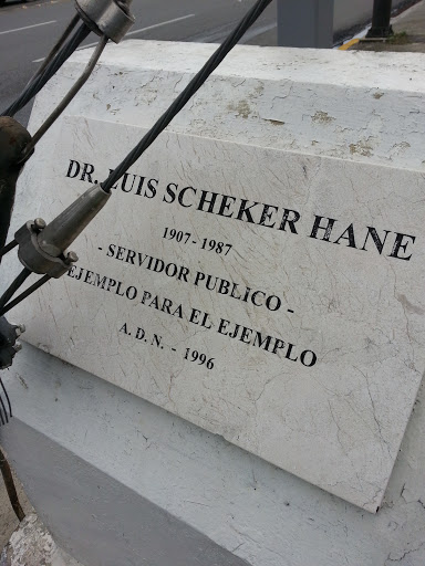 Placa Dr. Luis Schecker