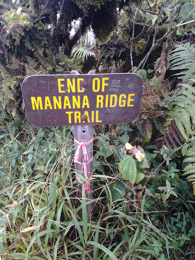 Summit Of Manana Ridge Trail