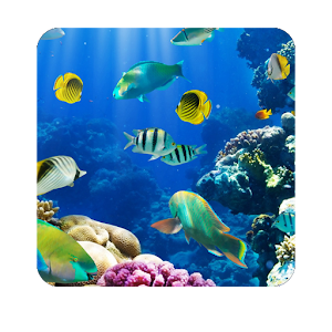 Fish Wallpapers Backgrounds HD.apk 1.0