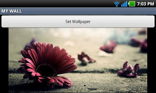 How to download My Wall 1.8.0 mod apk for bluestacks