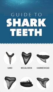 How to install Guide to Shark Teeth patch 1.0.0 apk for pc