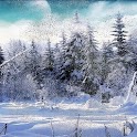 Live Wallpaper Snowfall