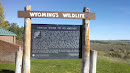 Wyoming's Wildlife