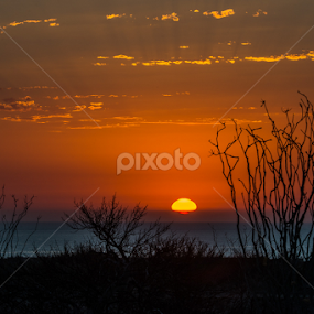 Sea of Cortez Sunrise by Scott Trageser - Landscapes Sunsets & Sunrises