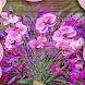 Purple Orchid