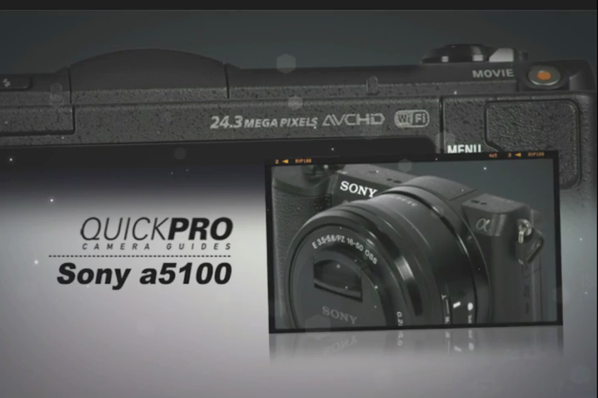 Sony a5100 from QuickPro Screen 2