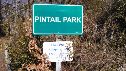 Pintail Park Ocean Pines