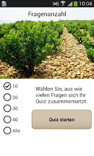  Das Weinquiz  