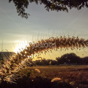 by Thant Min - Instagram & Mobile Android
