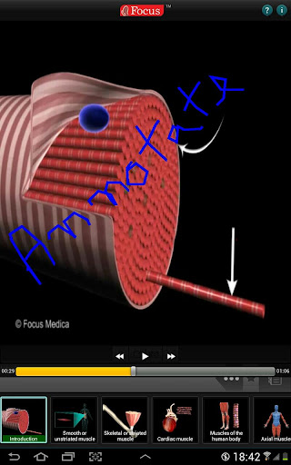 【免費醫療App】Anatomy Atlas - Animated-APP點子