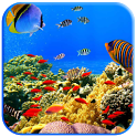Fish swimming icon