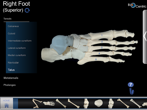 【免費醫療App】OpenLab.bones-APP點子