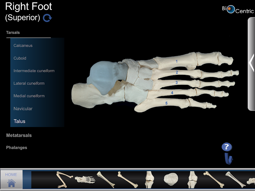 OpenLab.bones Screen 2