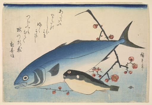 Yellowtail (Inada) and Blowfish (Fugu) with Plum Blossoms, with inscription