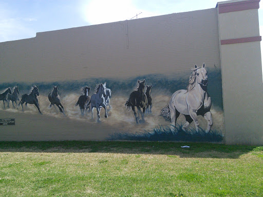 Ace Walker Horse Mural