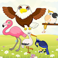 Birds Match Games for Toddler Apk