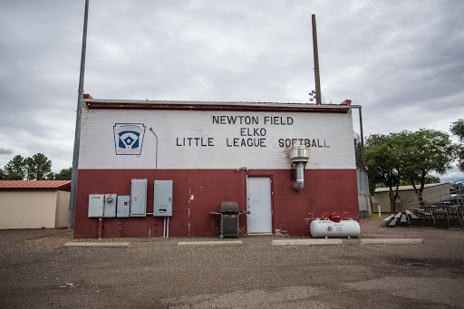 Newton Field