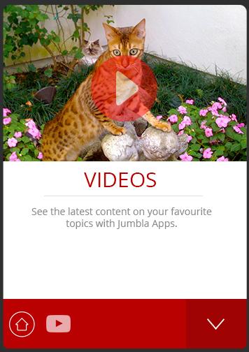 免費下載新聞APP|Bengal Cats Jumbla app開箱文|APP開箱王