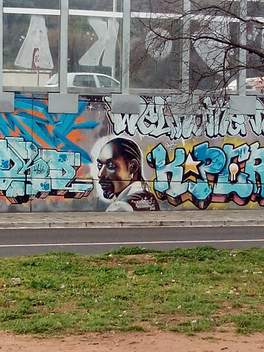 Urban Art Snoop Dogg