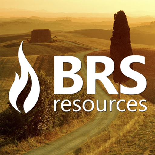 BRS Resources 商業 App LOGO-APP開箱王