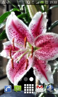 How to get Spring Lily Live Wallpaper 26 apk for laptop